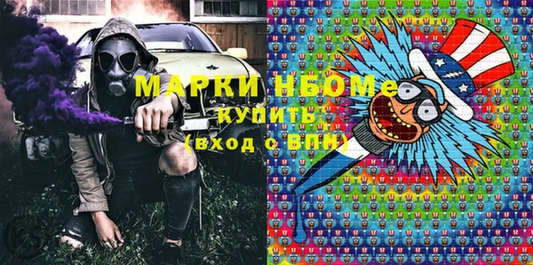 стаф Аркадак