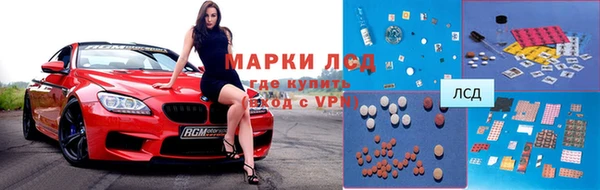 прущие грибы Инсар