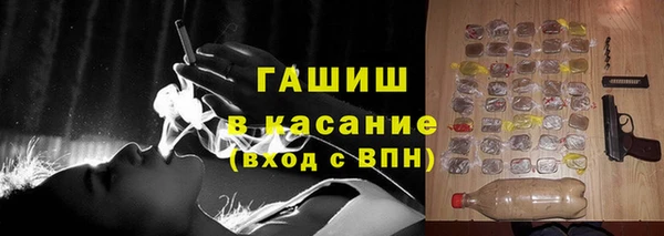 стаф Аркадак
