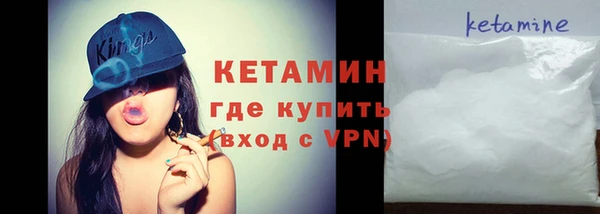 стаф Аркадак