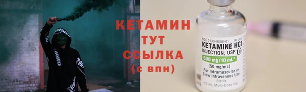 стаф Аркадак