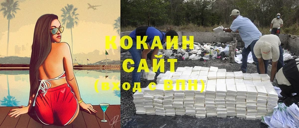 стаф Аркадак