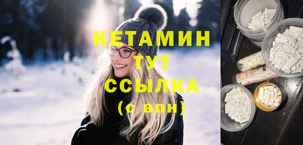 стаф Аркадак