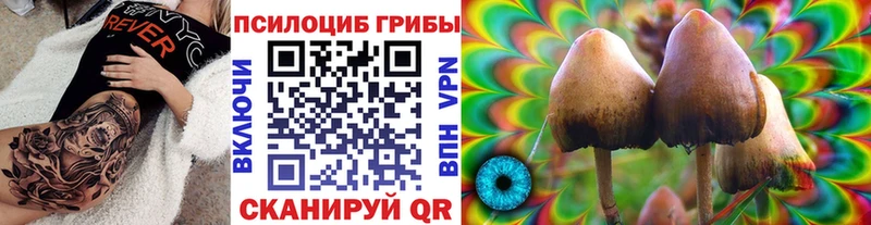 Псилоцибиновые грибы прущие грибы  Тимашёвск 